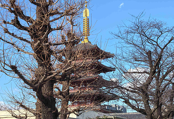 浅草寺第 116 张图片