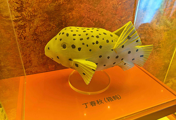 上海海洋水族馆第 83 张图片