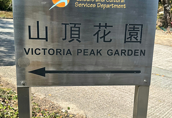太平山顶第 207 张图片