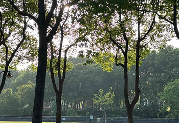 世纪公园第 40 张图片