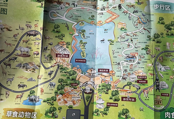 清迈夜间野生动物园第 132 张图片
