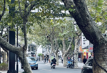 十全街第 107 张图片