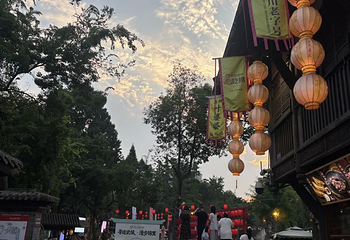 锦里古街第 126 张图片