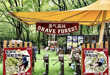 沃普·紫金山探险营地第 23 张图片