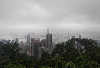 太平山顶第 326 张图片