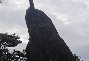 黄山风景区第 513 张图片