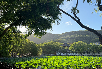 普陀山风景区第 226 张图片