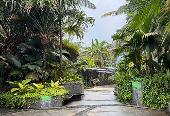 新加坡滨海湾花园第 436 张图片
