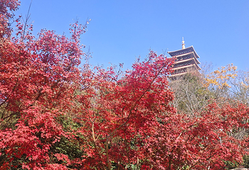 牛首山文化旅游区第 432 张图片