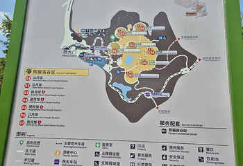 成都大熊猫繁育研究基地第 725 张图片