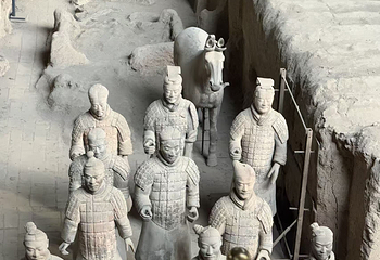 秦始皇帝陵博物院(兵马俑)第 614 张图片