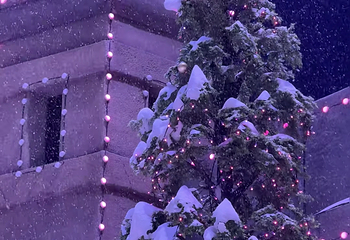 阿尔卑斯雪世界第 312 张图片