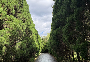 崇圣寺三塔文化旅游区第 134 张图片