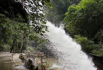 荔波小七孔景区第 281 张图片