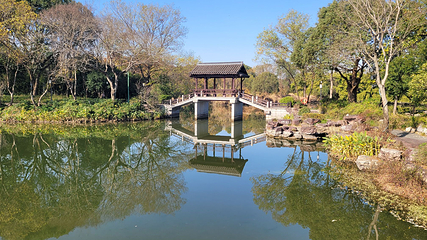 西溪国家湿地公园第 127 张图片