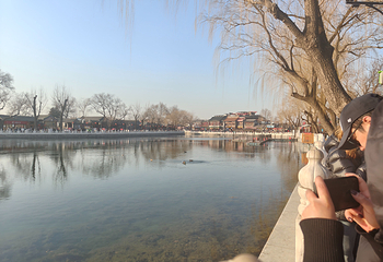 什刹海风景区第 308 张图片
