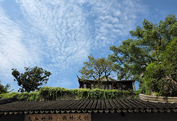 虎丘山风景名胜区第 269 张图片
