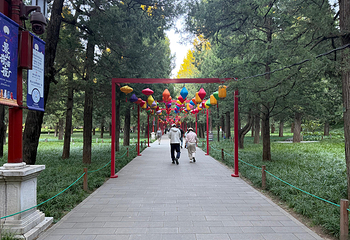 景山公园第 94 张图片