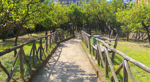 I Giardini di Cataldo