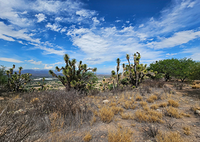 Zona Arqueologica de Pahnu