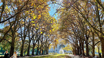 Carlton Gardens Playground