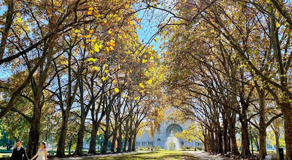 Carlton Gardens Playground