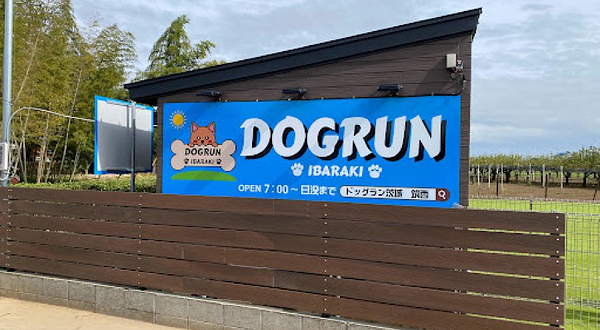 ドッグラン茨城
