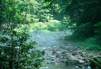 东江湖旅游区第 40 张图片