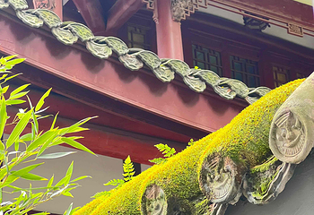 杜甫草堂第 334 张图片