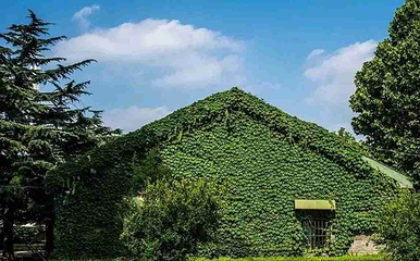 坊茨小镇第 13 张图片