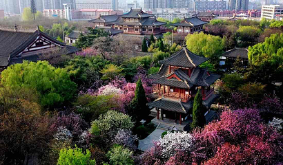 青龙寺第 23 张图片