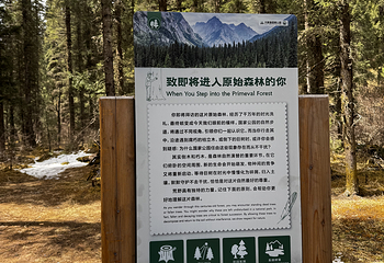 王朗国家级自然保护区第 15 张图片