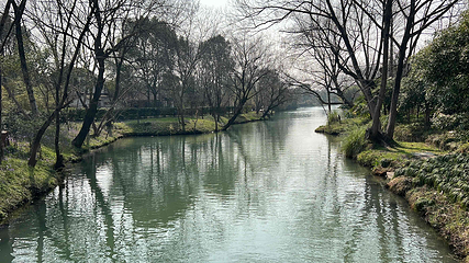 西溪国家湿地公园第 143 张图片