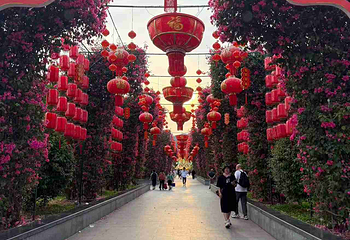 青秀山第 218 张图片