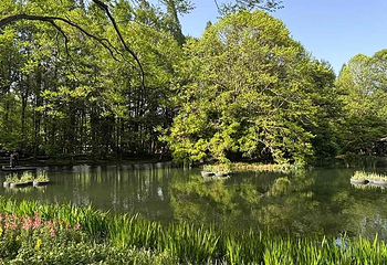 玄武湖景区第 53 张图片