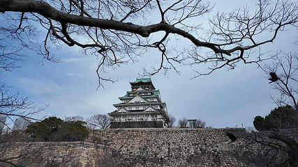 大阪城公园第 90 张图片