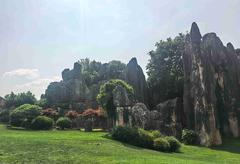 石林风景区第 157 张图片