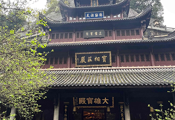 新昌大佛寺景区第 71 张图片