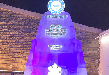 哈尔滨冰雪大世界第 449 张图片
