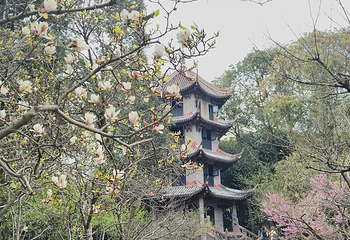 杜甫草堂第 348 张图片