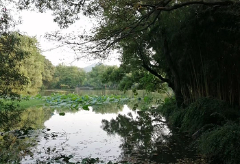 西湖风景名胜区第 509 张图片