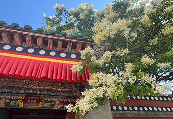 塔尔寺第 103 张图片