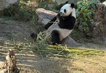 宁波野生动物园第 63 张图片