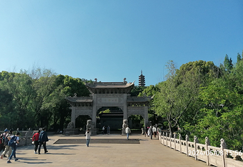 焦山第 33 张图片