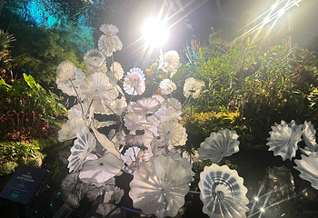 新加坡滨海湾花园第 454 张图片