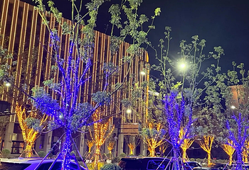 滴水湖第 52 张图片