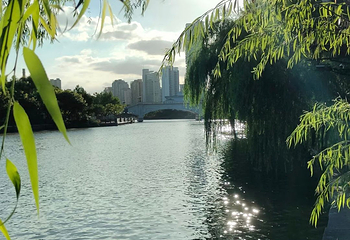 印象南塘第 12 张图片