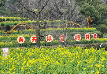 婺源风景区第 89 张图片