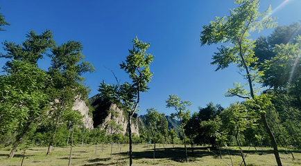 百里山水画廊第 58 张图片
