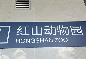 红山森林动物园第 234 张图片